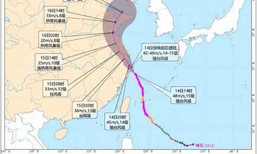 台风路径实时发布_浙江台风路径实时